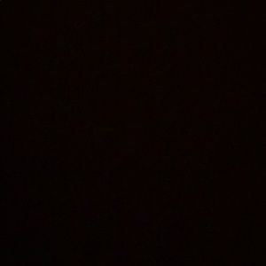 Meet your Posher, Alisa